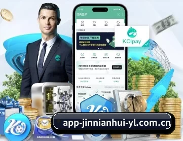 金年会 APP 深度功能